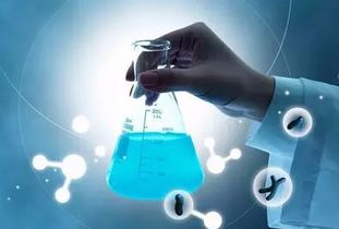 柳橙網(wǎng)最新留學(xué)動(dòng)態(tài) 一網(wǎng)打盡留學(xué)就業(yè)、流程與資訊（123頁全解析）