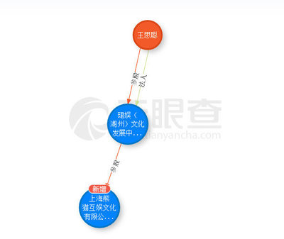從留學(xué)咨詢到投資神話 透視王思聰?shù)馁Y本敘事與潛在風(fēng)險(xiǎn)